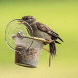 Brass Window Perch Birdfeeder