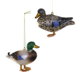 Mallard Duck Ornament, Assorted