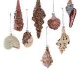 Beachcomber Shell Ornament, Assorted