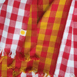 Gingham Tablecloth, Ketchup & Mustard